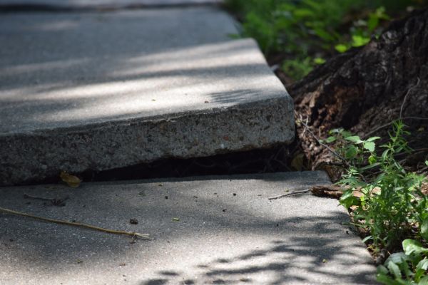 Cost of Sidewalk Leveling in Delaware