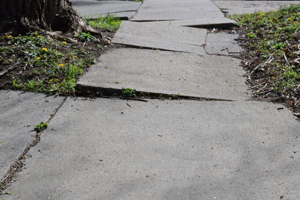 Cost of Sidewalk Raising in Delaware