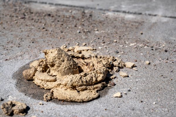 Cost of Driveway Slab Leveling in Delaware